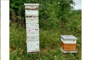 Private hives