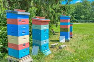 19-Backyard-Bee-Hive-Ideas
