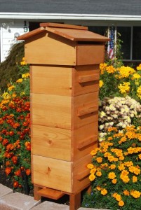 how-to-build-a-beehive